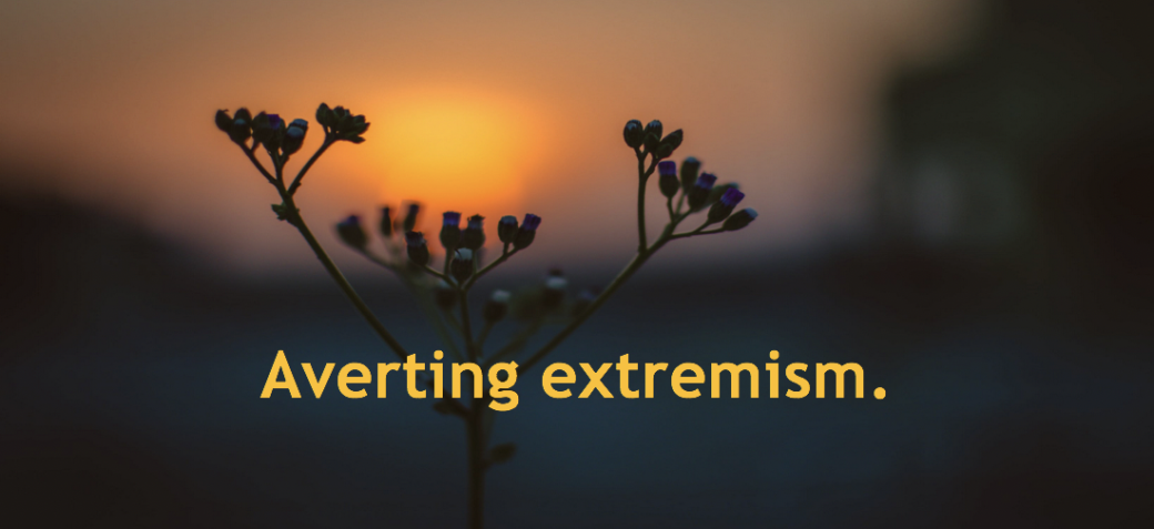 Averting extremism