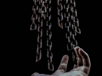 Quran guides to erication of the slavery. qpeace.net