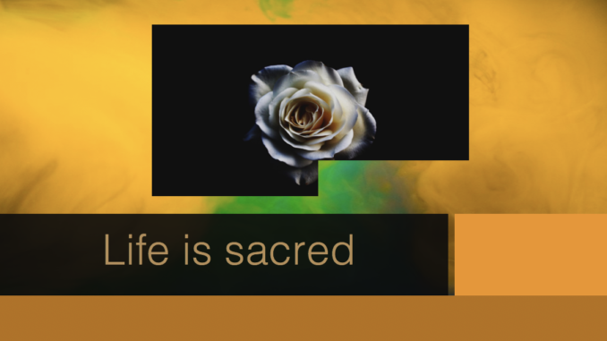 Life is sacred in the Quran