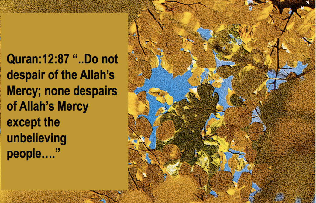 Individual Accountability. Do not despair of Mercy of Allah. qpeace.net