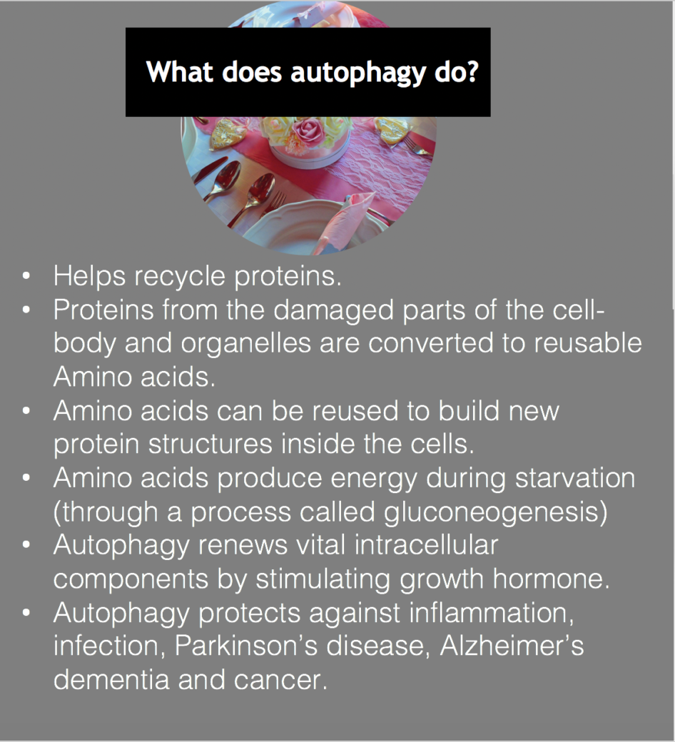 Fasting and the Nobel Prize in Medicine. Autophagy Helps recycle proteins.
Proteins from the damaged parts of the cell-body and organelles are converted to reusable Amino acids. 
Amino acids can be reused to build new protein structures inside the cells.
Amino acids produce energy during starvation (through a process called gluconeogenesis)
Autophagy renews vital intracellular components by stimulating growth hormone.
Autophagy protects against inflammation, infection, Parkinson’s disease, Alzheimer’s dementia and cancer. 
